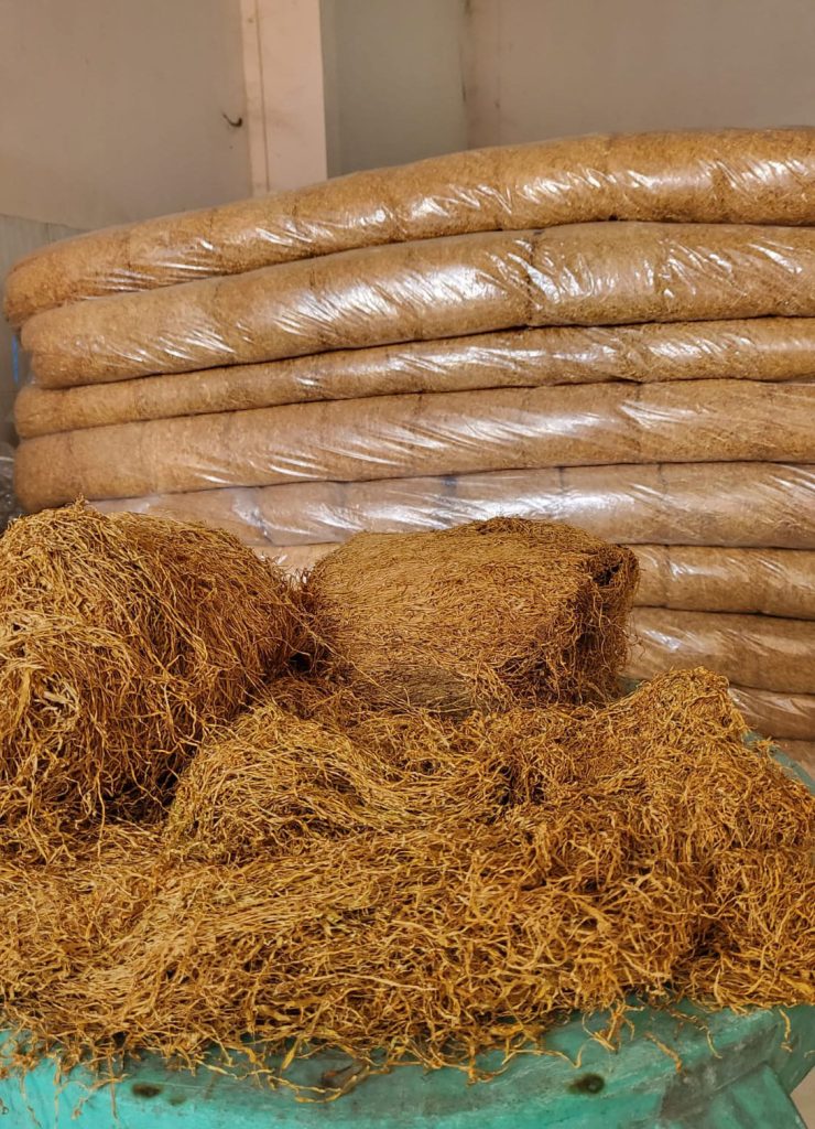tobacco bondowoso (16)