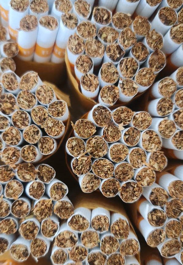 tobacco bondowoso (3)